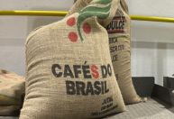 Café mais barato: safra recorde promete nova queda no preço, afirmam ABIC e Sindicafé-MG