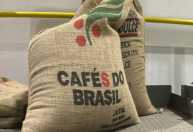 Embarques de café sobem 3,6% em maio com chegada da nova safra, mas receita recua 16%