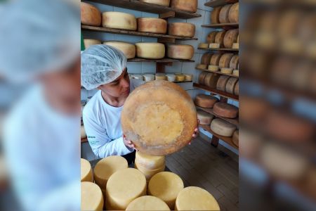 Em sua 8ª edição, o Festival do Queijo Artesanal de Minas celebra a valorização do setor desde o tradicional Serro ao estreante Vale do Suaçuí • Foto Acervo Sebrae