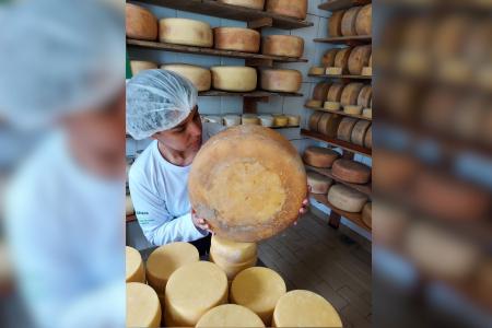 Em sua 8ª edição, o Festival do Queijo Artesanal de Minas celebra a valorização do setor desde o tradicional Serro ao estreante Vale do Suaçuí • Foto Acervo Sebrae