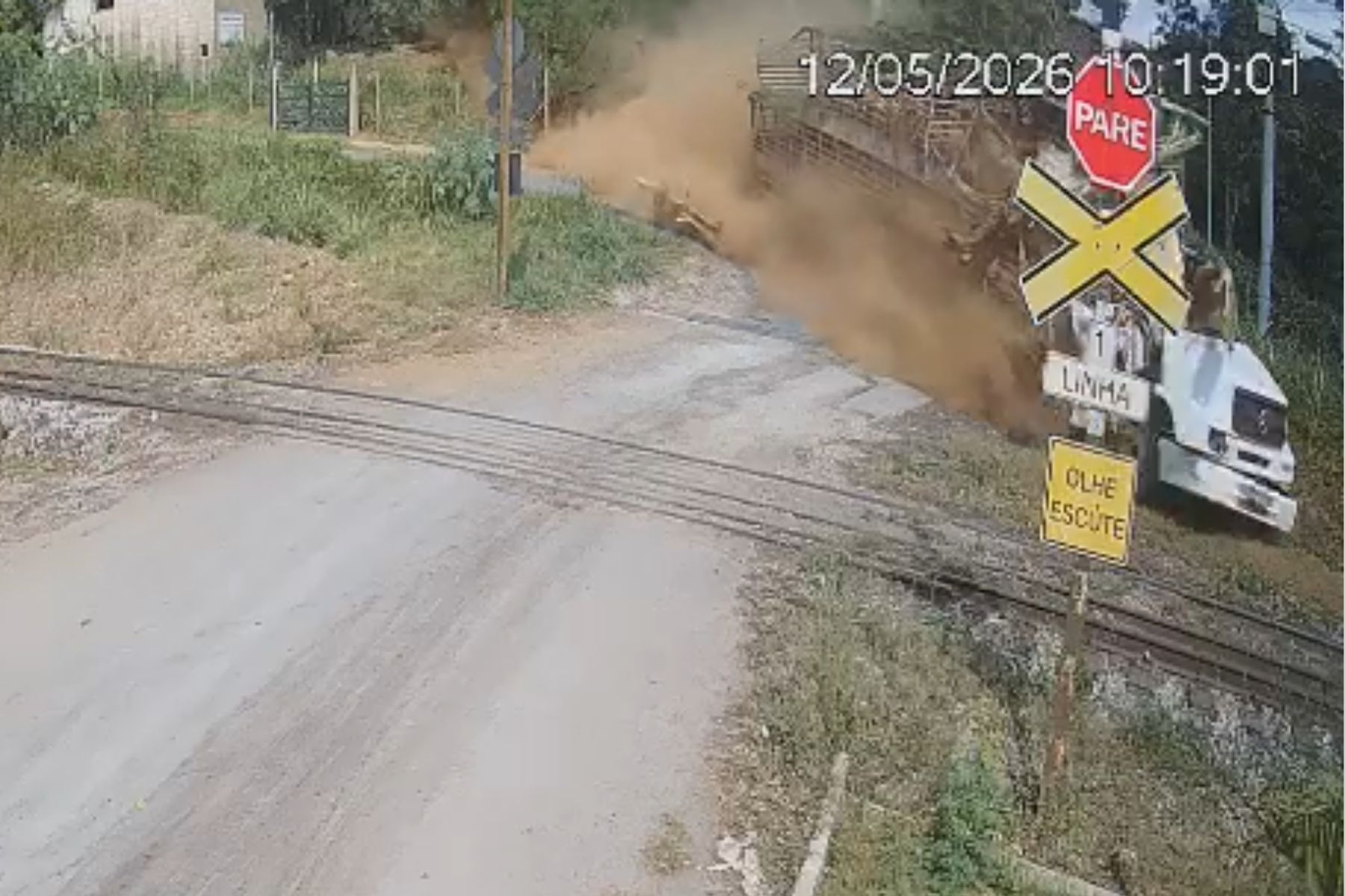 Vídeo flagra momento em que caminhão com porcos cai sobre frigorífico em MG