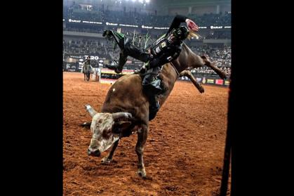 PBR BRAZIL/Divulgação