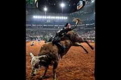 PBR BRAZIL/Divulgação