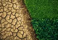 Inmet alerta para riscos do El Niño no agro e projeta perdas na safra de inverno e verão