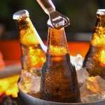 Cerveja em alta: setor cervejeiro bate recorde de exportações