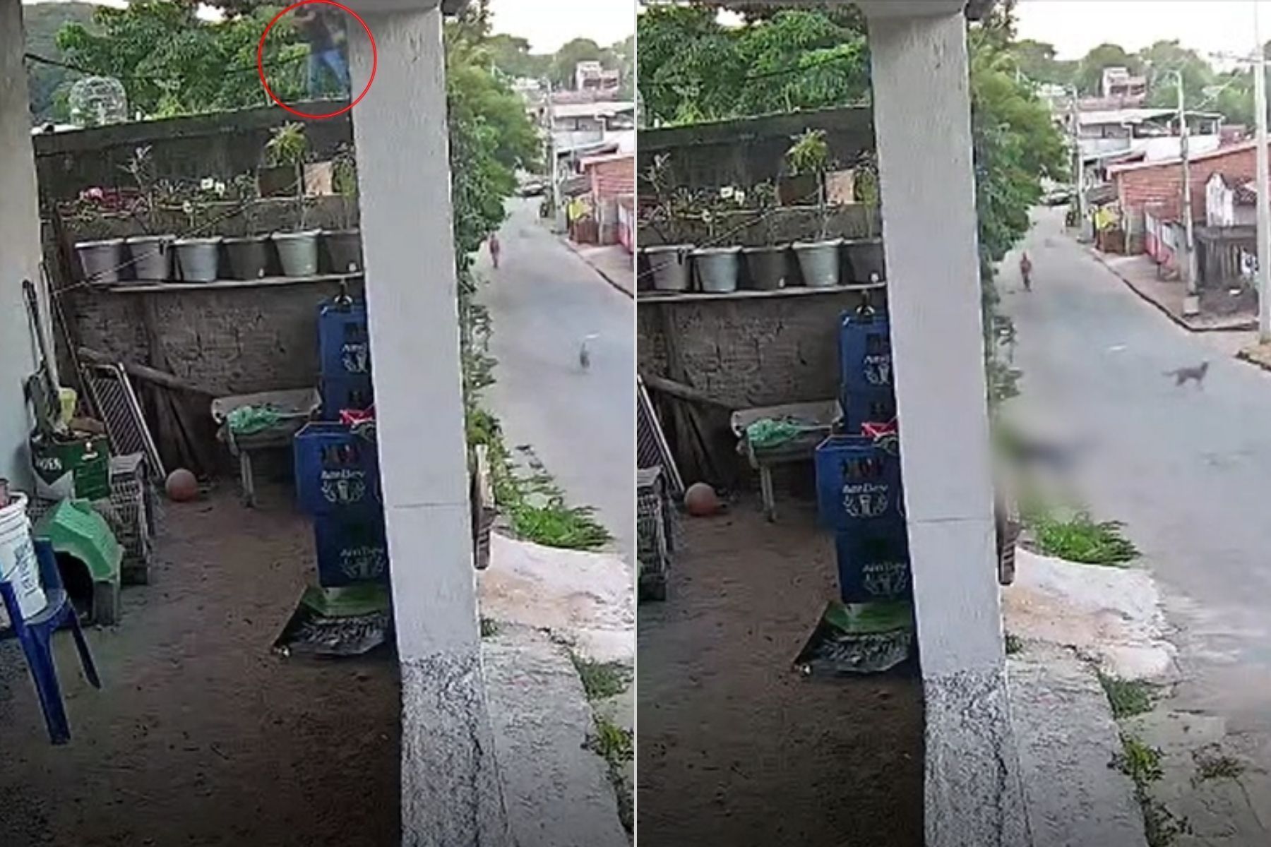 Vídeo: criança cai de laje enquanto soltava pipa no interior de MG; veja