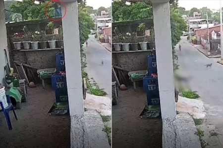 Vídeo: criança cai de laje enquanto soltava pipa no interior de MG; veja