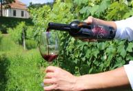 Vinhos de inverno do Sul de Minas buscam conquistar Denominação de Origem do INPI
