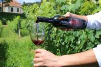 Vinhos de inverno do Sul de Minas buscam conquistar Denominação de Origem do INPI