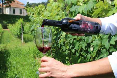 Vinhos de inverno do Sul de Minas buscam conquistar Denominação de Origem do INPI