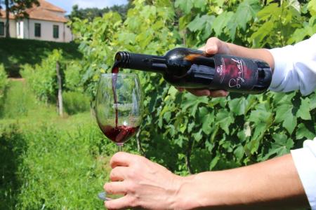 Vinhos de inverno do Sul de Minas buscam conquistar Denominação de Origem do INPI