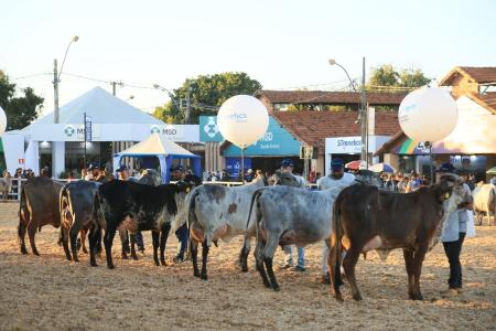 Megaleite 2026 encerra inscrições antes do prazo e projeta edição histórica em BH