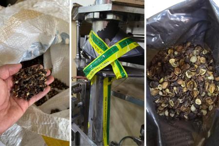 Café falsificado: megaoperação fecha 19 fábricas e apreende 82 toneladas de produto