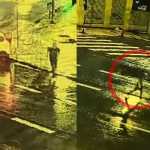 Vídeo mostra momento em que homem é atropelado por ônibus na avenida Afonso Pena