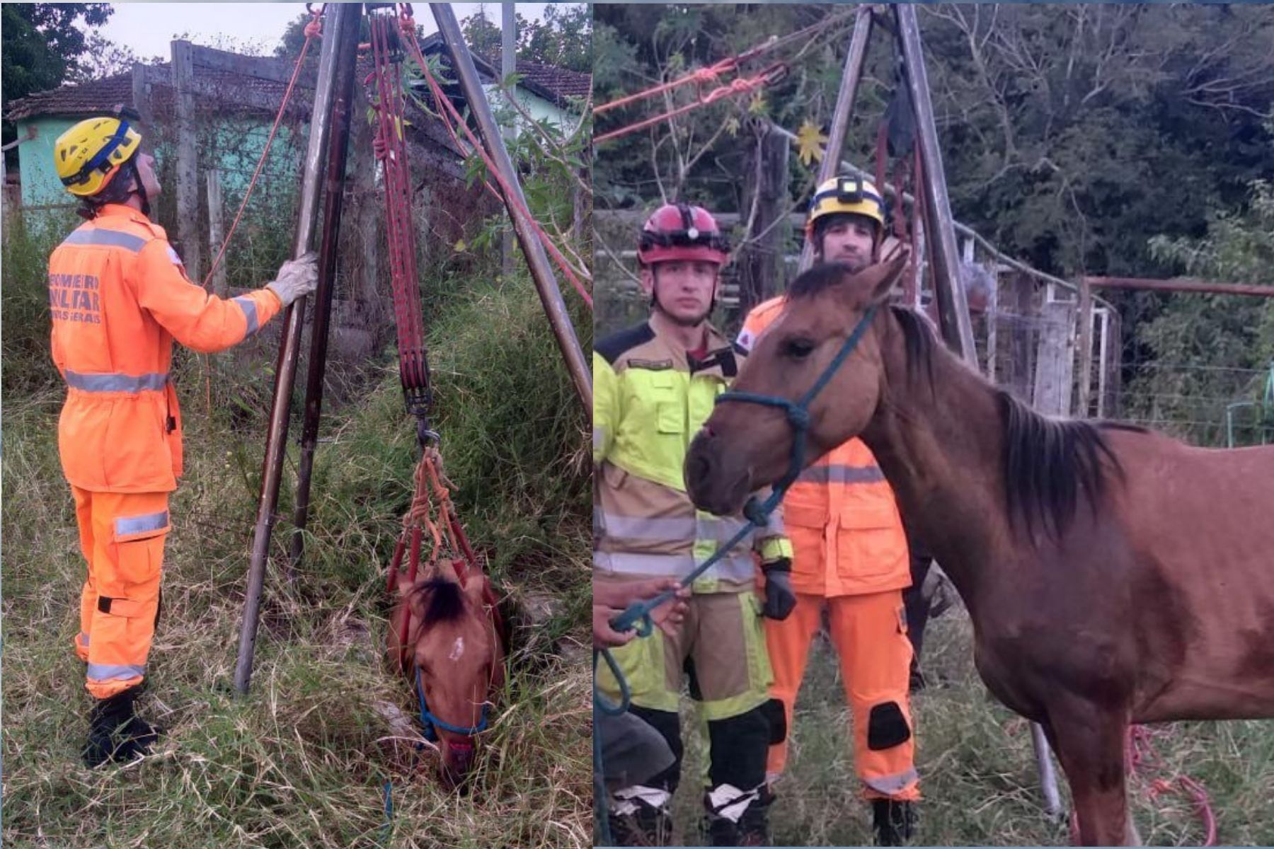 Égua cai em cisterna desativada no Norte de Minas