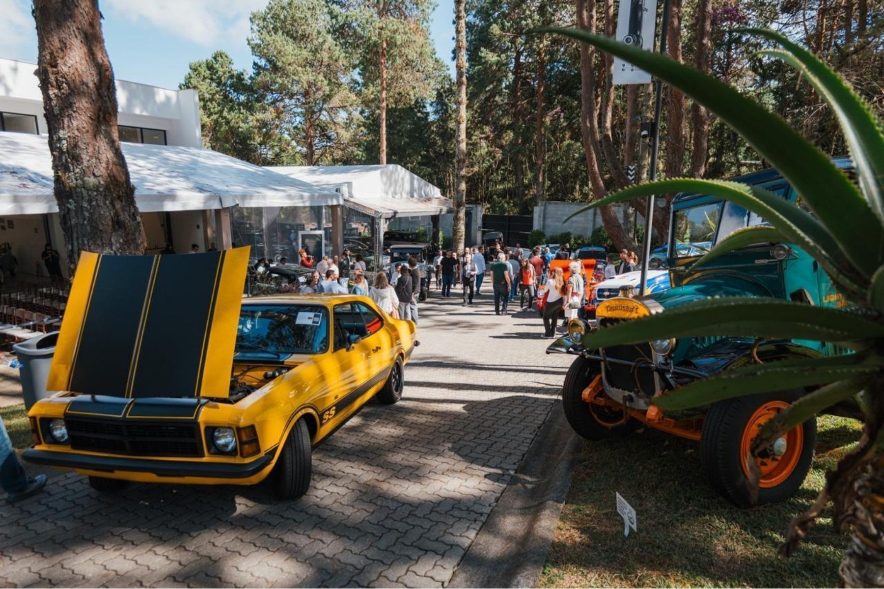 Carros clássicos movimentam mais de R$ 32 bilhões por ano no Brasil