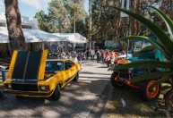 Carros clássicos movimentam mais de R$ 32 bilhões por ano no Brasil