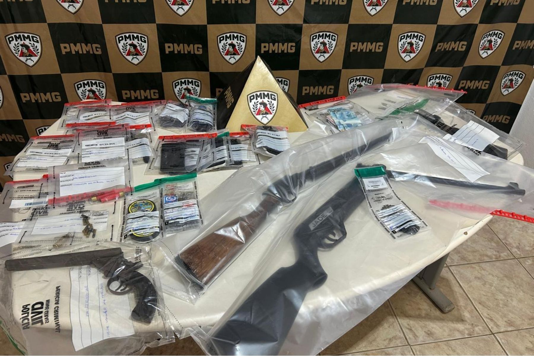 Homens são presos e adolescentes apreendidos após furto em fazenda no interior de MG