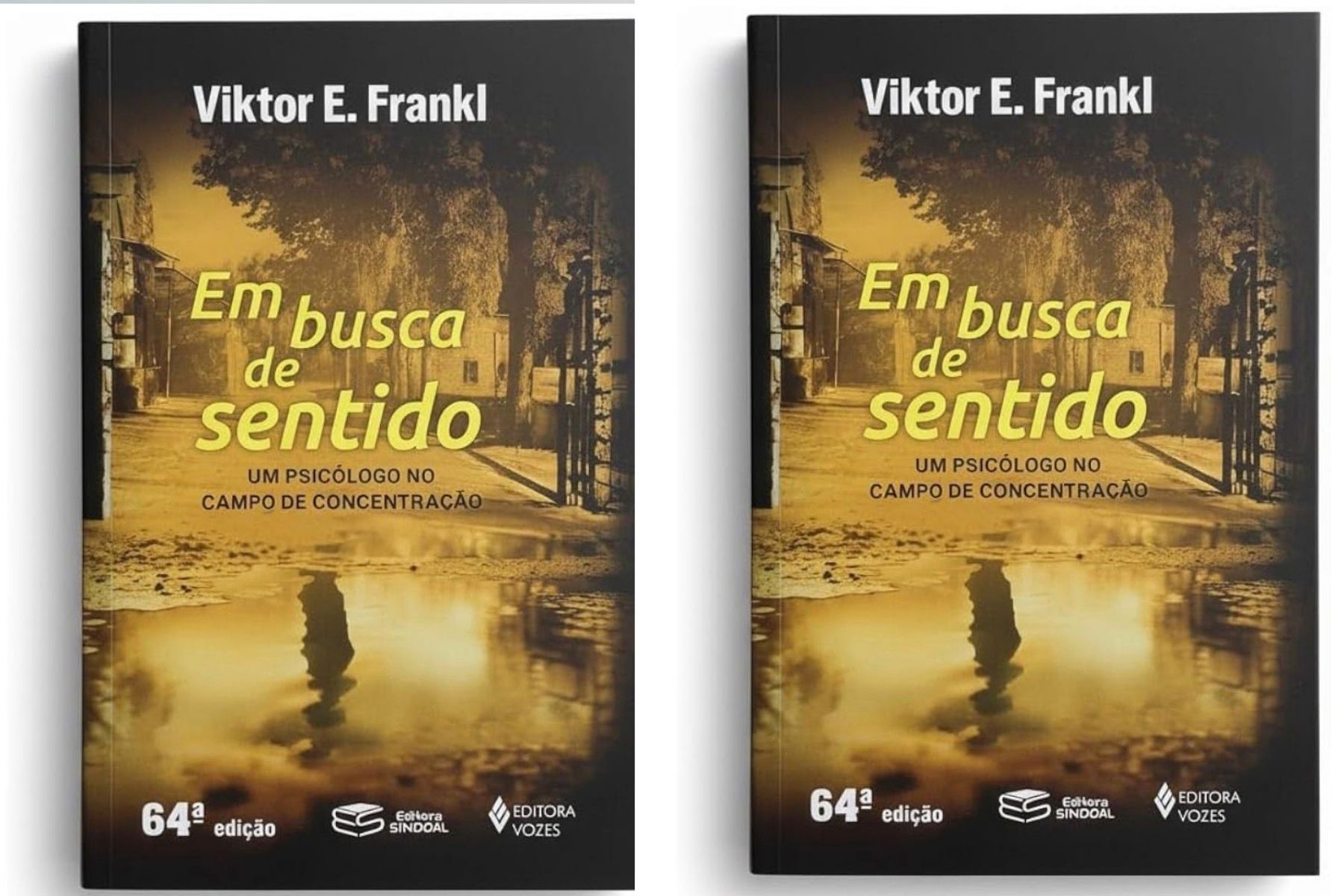 Filósofo: 'Tudo pode ser tirado do homem, exceto uma coisa: a escolha do próprio caminho'