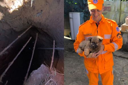 Bombeiros resgatam filhote de cachorro que caiu em cisterna de 10 metros em Minas
