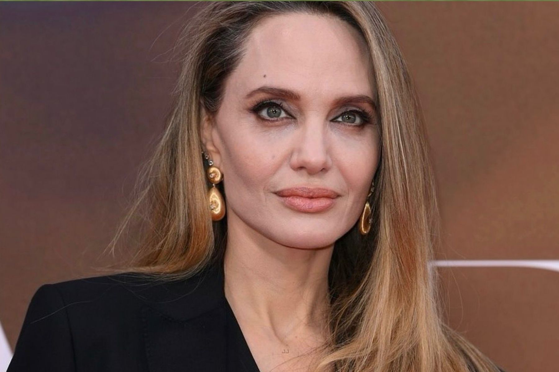 Angelina Jolie comprou selva particular maior que 84 mil campos de futebol para proteção animal