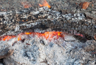 Cinzas de churrasco viram 'tesouro' para a jardinagem; entenda