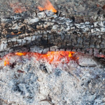 Cinzas de churrasco viram 'tesouro' para a jardinagem; entenda