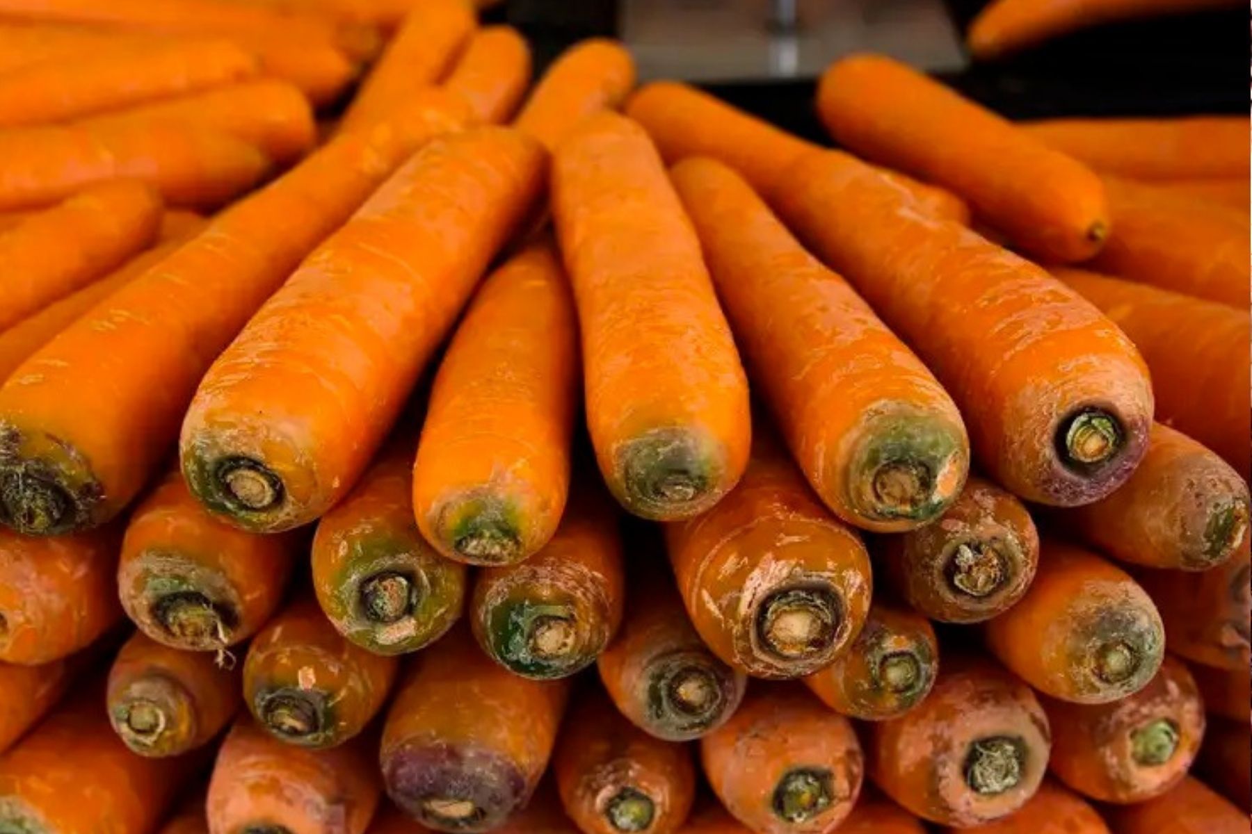 Hortaliças sobem na Ceasa Minas, e cenoura lidera alta