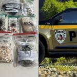 PM prende traficante e apreende drogas em muro de cemitério no interior de MG