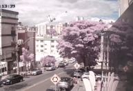 Vídeo mostra queda de avião que deixou mortos em BH por novo ângulo