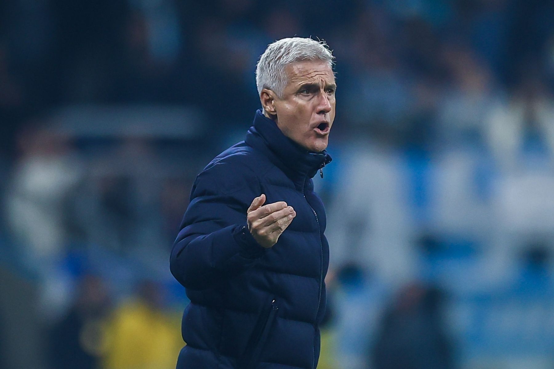 Luís Castro admite preocupação com o Grêmio no Z4 após derrota para o Flamengo