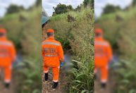 Homem morre após ser atropelado por trem no interior de MG