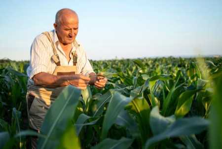 Sustentabilidade e inovação impulsionam o futuro do agro