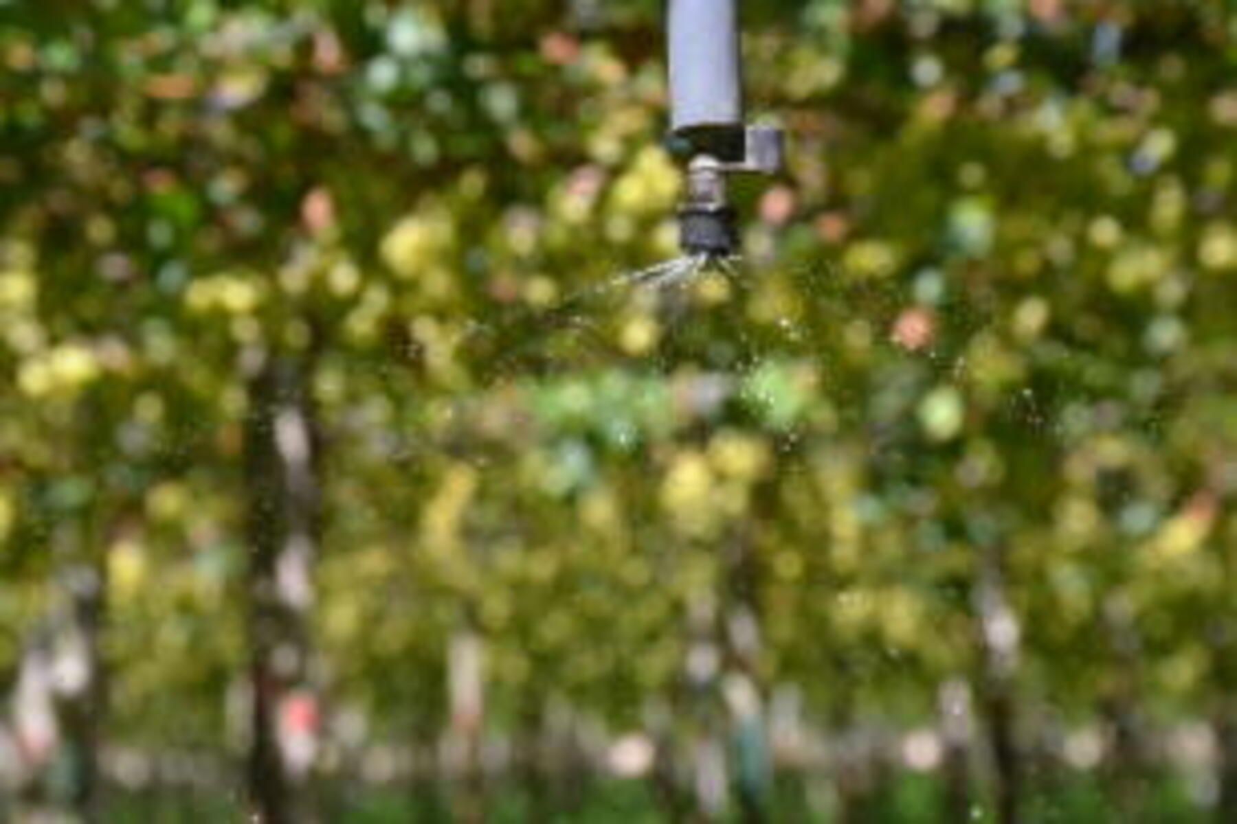 Tecnologia no agro: aplicativos revolucionam a gestão agrícola