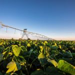 Ferramentas digitais podem reduzir em até 35% uso de água na irrigação