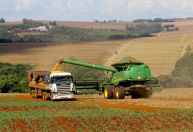 Paraná deve colher 21,7 milhões de toneladas de soja e manter safra robusta de milho
