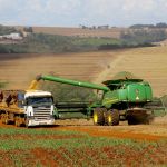 Paraná deve colher 21,7 milhões de toneladas de soja e manter safra robusta de milho
