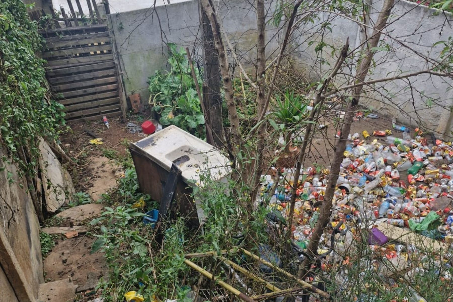 Homem é preso por maus-tratos contra cães em Carandaí (MG)