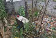 Homem é preso por maus-tratos contra cães em Carandaí (MG)