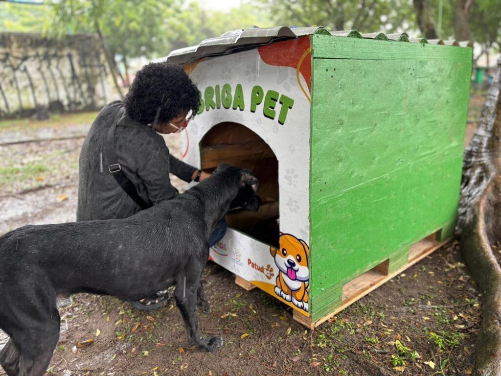 Prefeitura instala casinhas pet para cães e gatos em praça; saiba mais