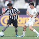 Botafogo perde dois titulares por cartão para o próximo jogo do Campeonato Brasileiro