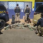 PRF apreende drogas escondidas em pneus de caminhão; dois homens são presos