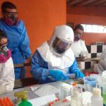 Paraná confirma dois casos de hantavírus e investiga 11 suspeitas