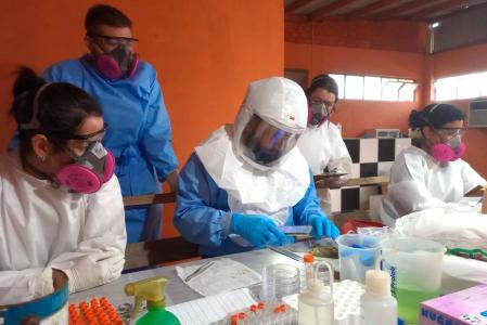 Paraná confirma dois casos de hantavírus e investiga outros 11