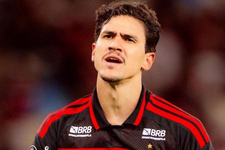 Pedro atacante do Flamengo