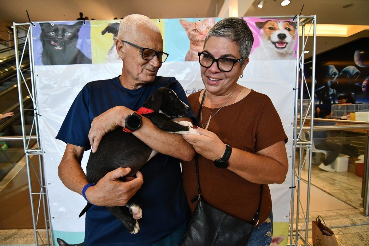 Casais adotam novos pets em campanha de adoção e aumentam a família; veja fotos