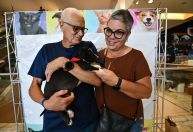 Casais adotam novos pets em campanha de adoção e aumentam a família; veja fotos