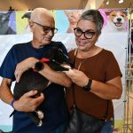 Casais adotam novos pets em campanha de adoção e aumentam a família; veja fotos