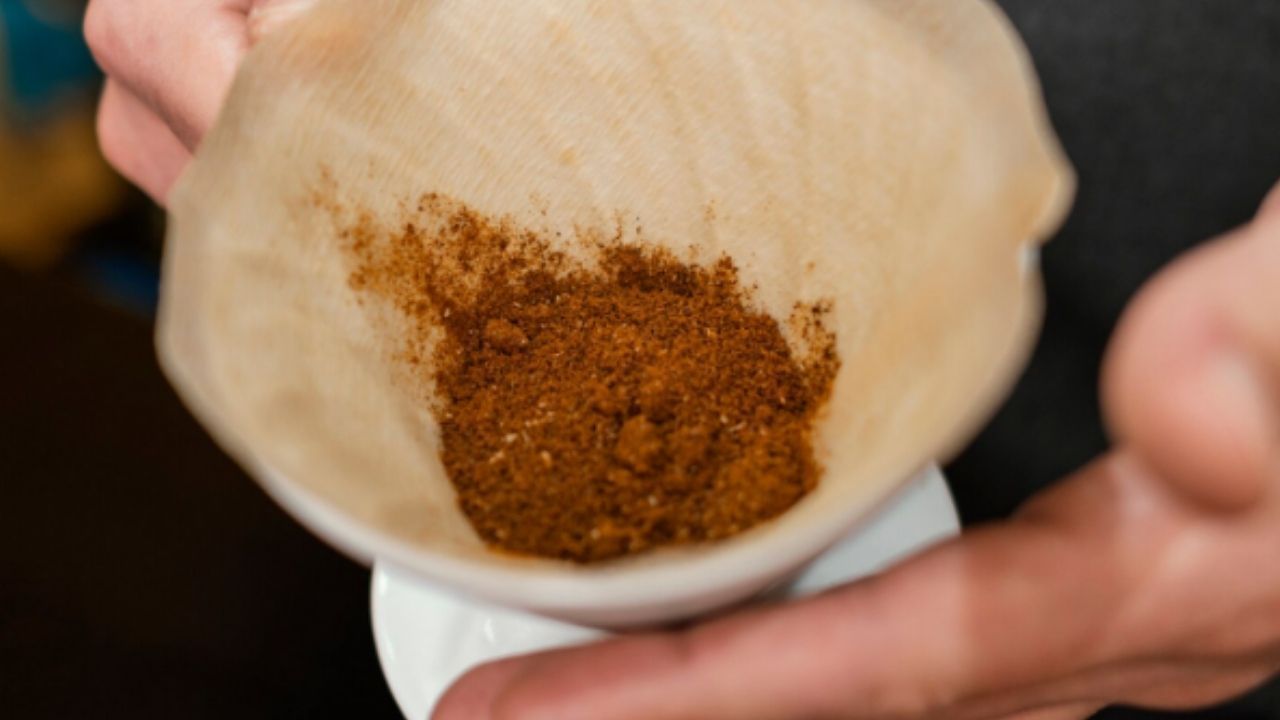 Pó de café acelera o crescimento do cabelo? Veja o que diz a dermatologia