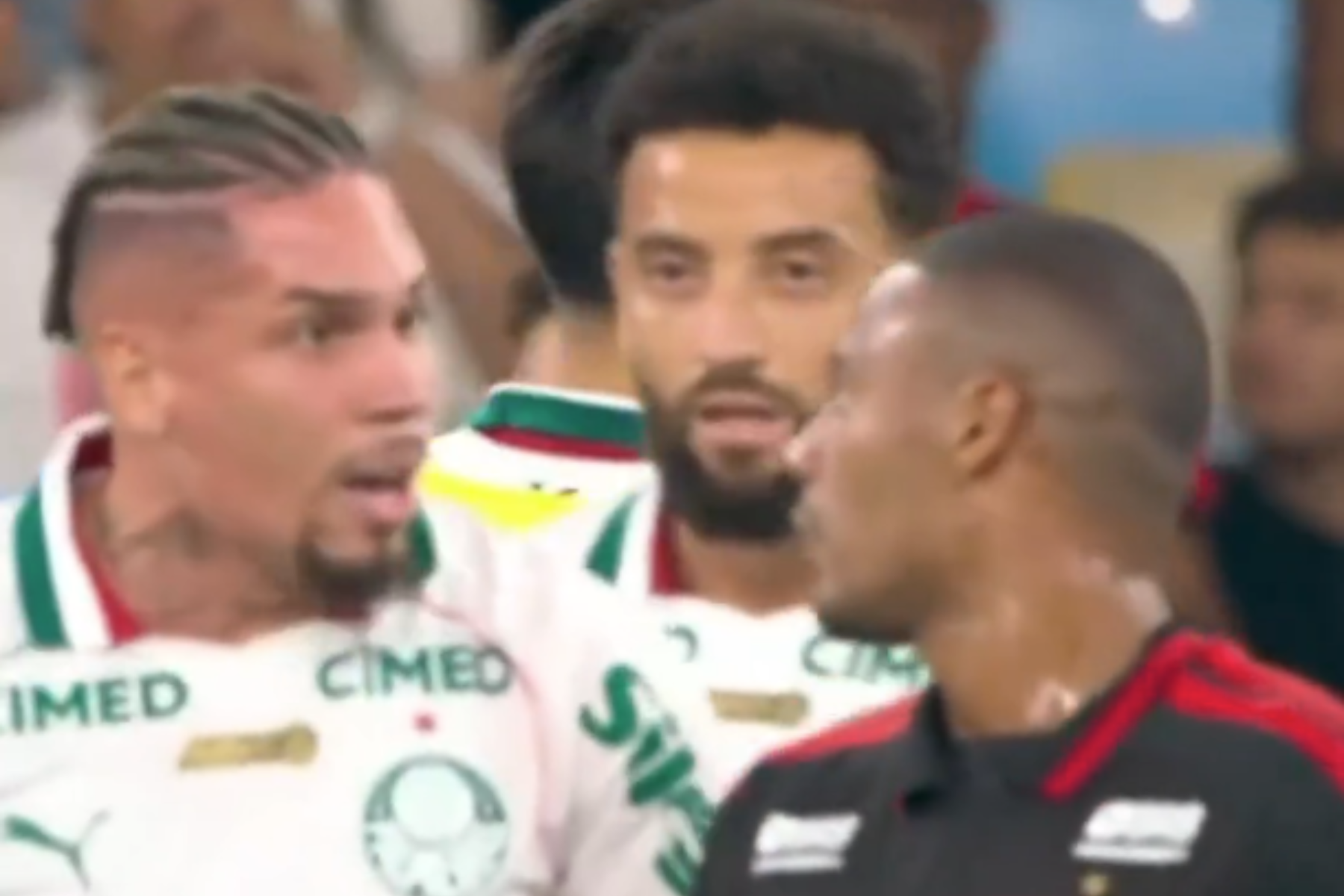 Flamengo x Palmeiras: dublador aponta o que foi dito em briga após gol de Paulinho
